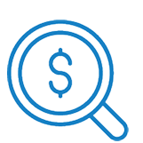 Budget Icon